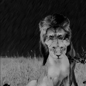 Meet your Posher, Mercedes